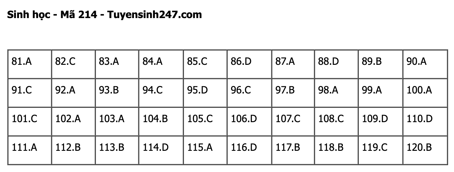 undefined - Ảnh 1.