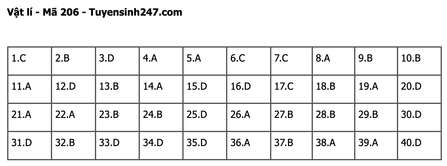 undefined - Ảnh 1. undefined - Ảnh 1.