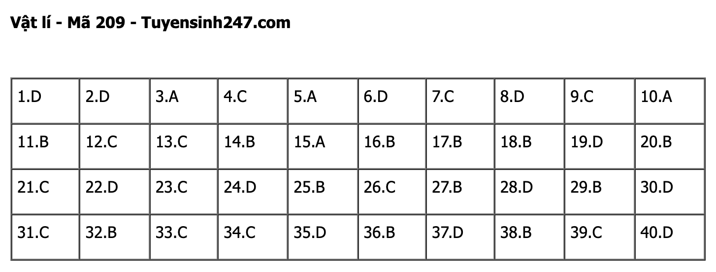 undefined - Ảnh 1. undefined - Ảnh 1.