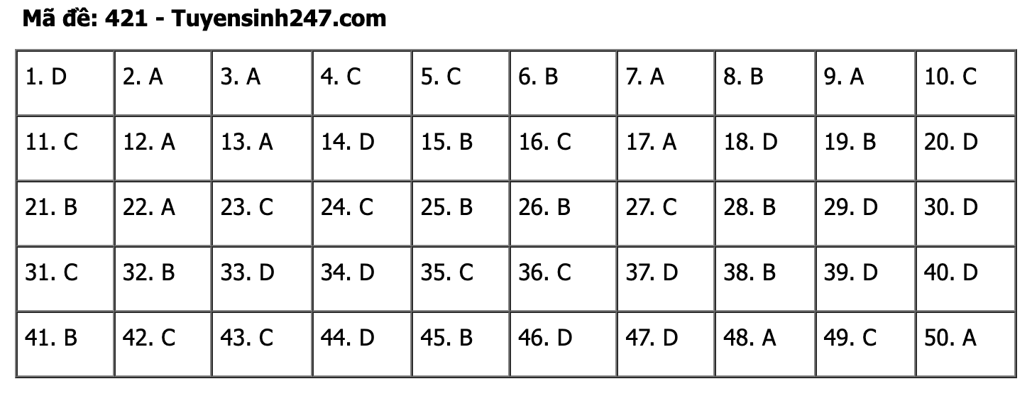 undefined - Ảnh 1.