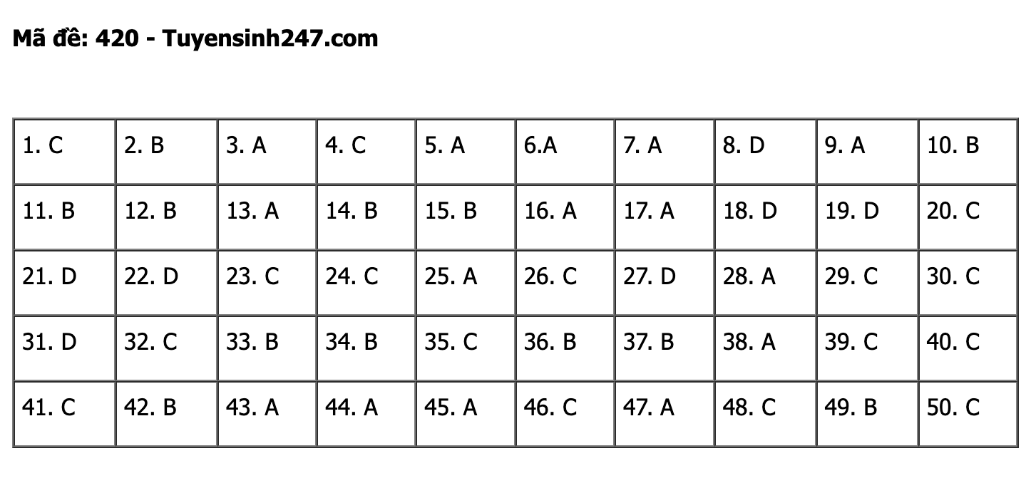 undefined - Ảnh 1.