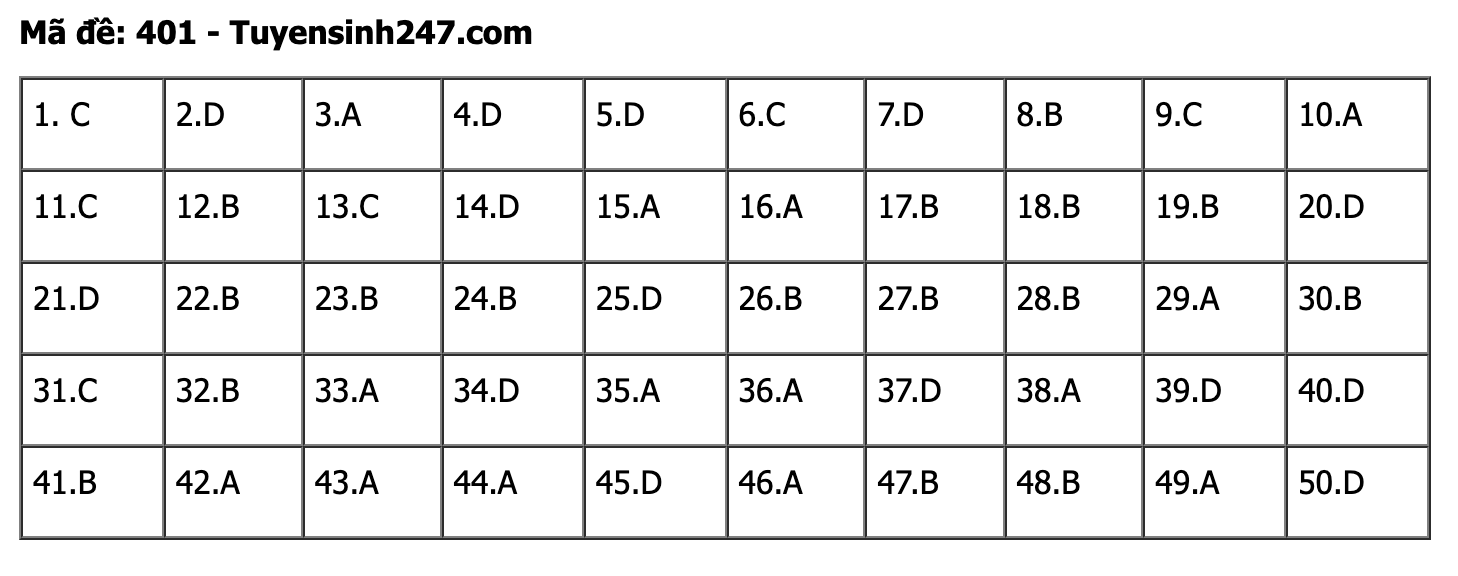 undefined - Ảnh 1.