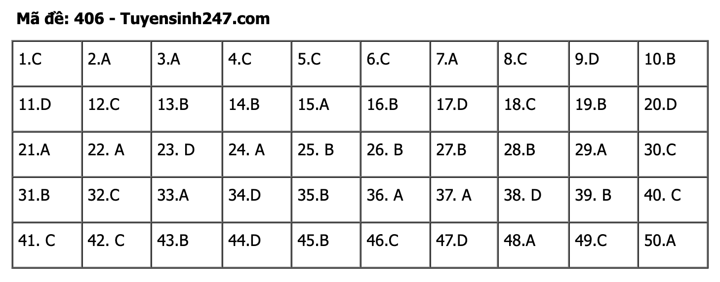 undefined - Ảnh 1.