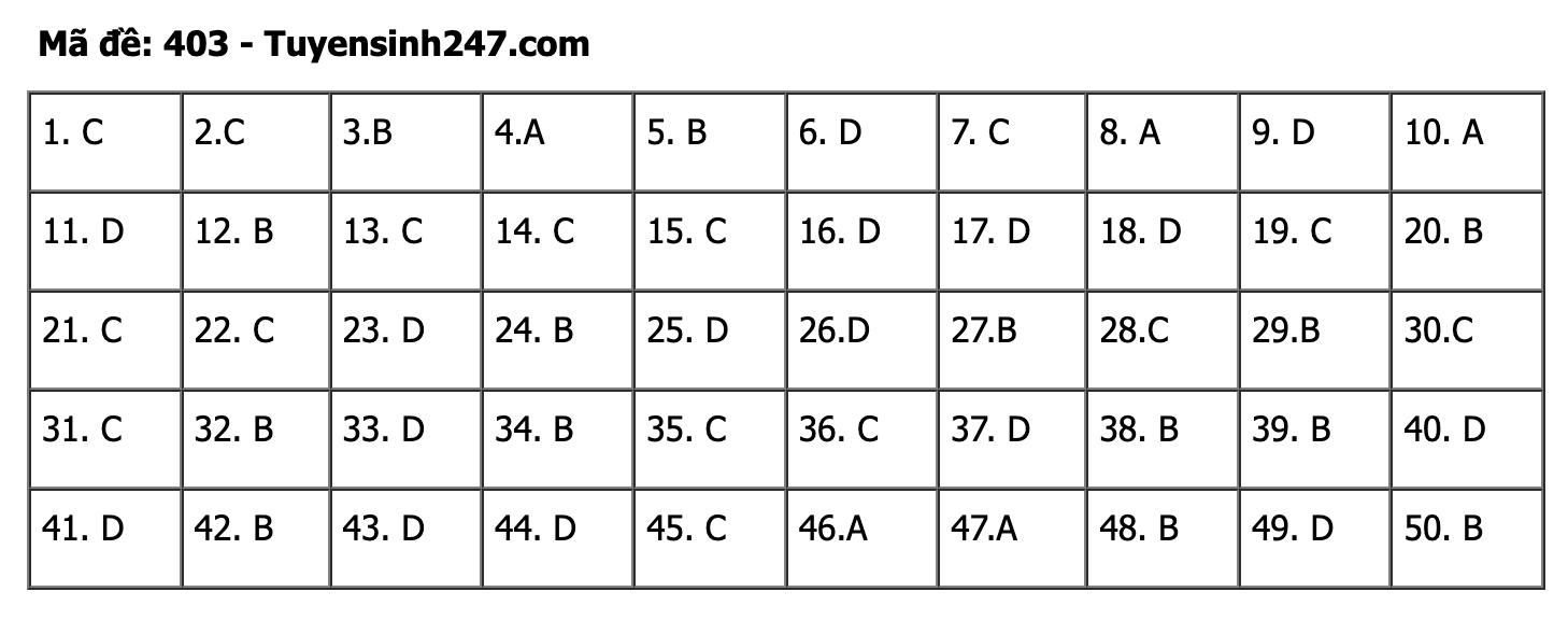 undefined - Ảnh 1.