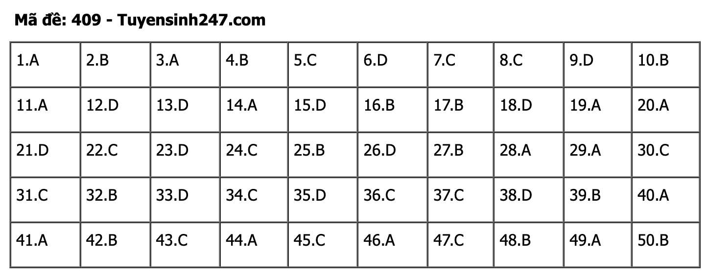 undefined - Ảnh 1.