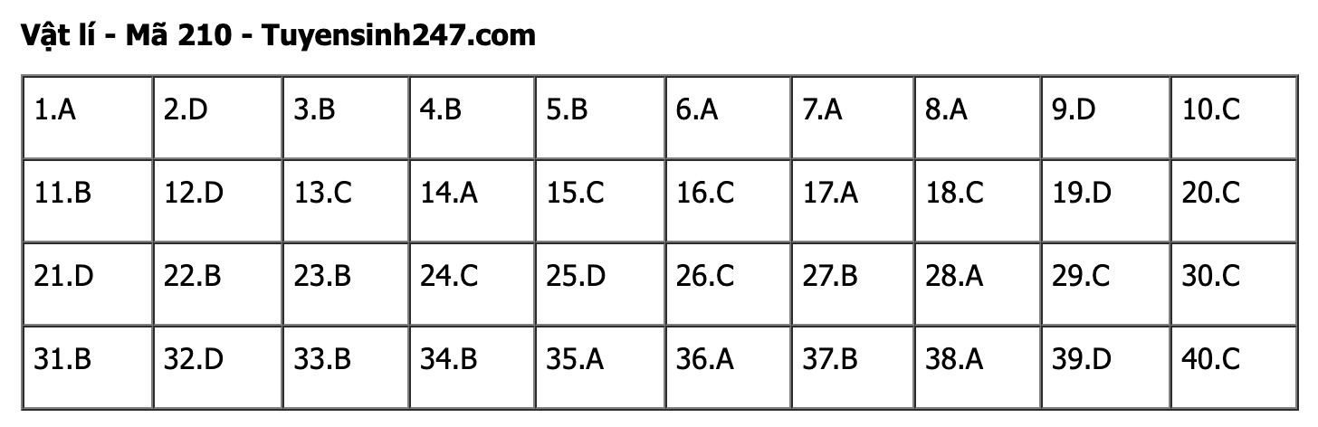 undefined - Ảnh 1. undefined - Ảnh 1.