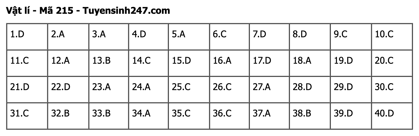 undefined - Ảnh 1. undefined - Ảnh 1.