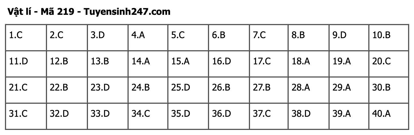 undefined - Ảnh 1. undefined - Ảnh 1.