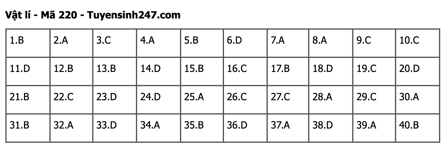 undefined - Ảnh 1. undefined - Ảnh 1.