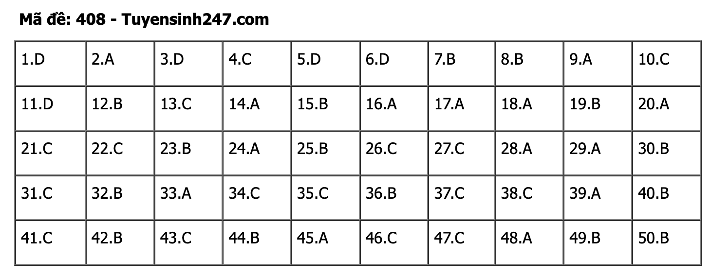 undefined - Ảnh 1.