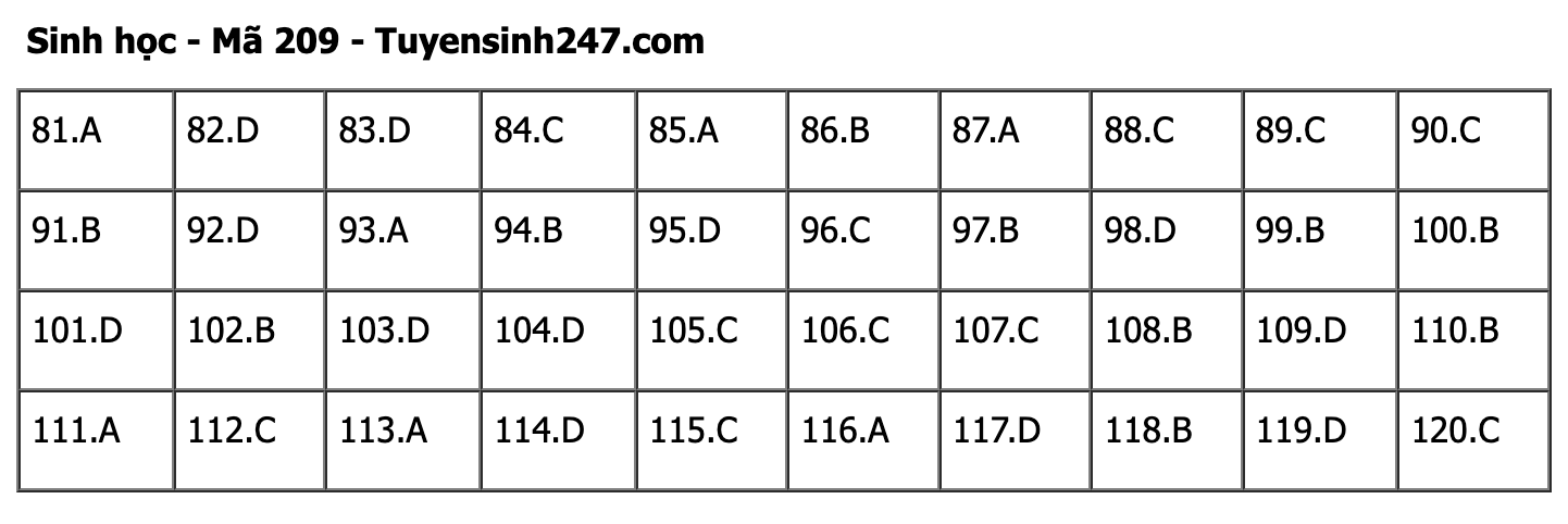 undefined - Ảnh 1.