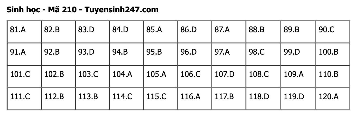 undefined - Ảnh 1.