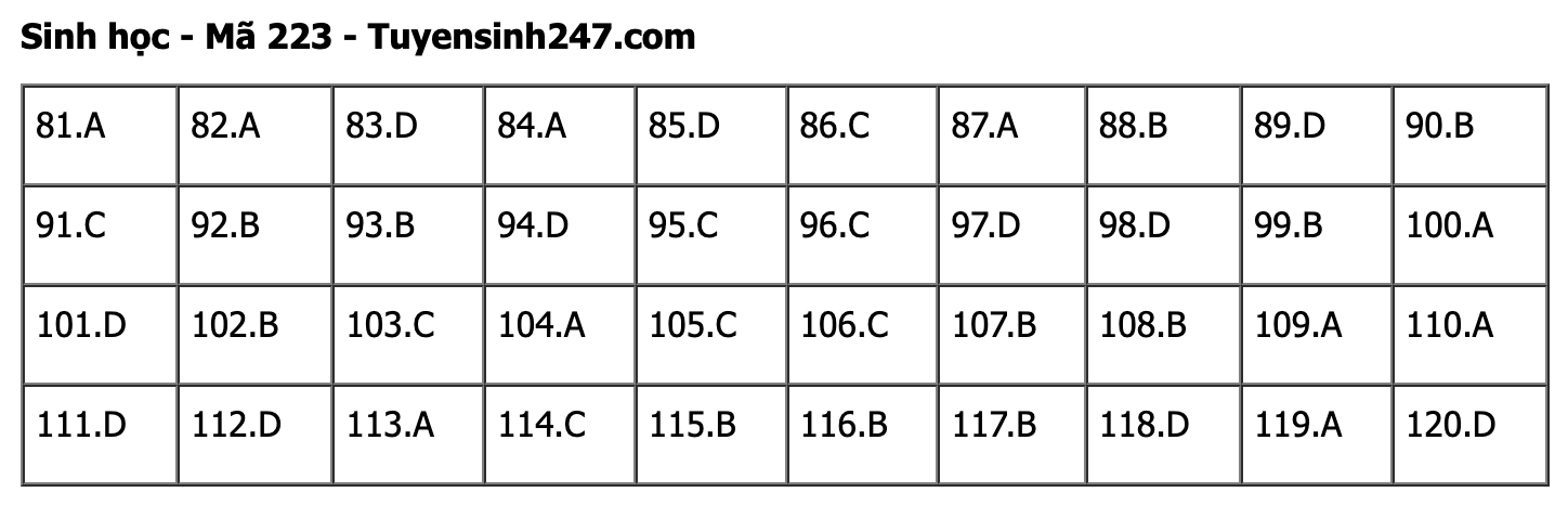 undefined - Ảnh 1.