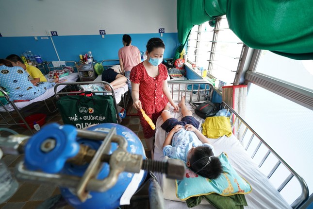 TP.HCM: 17 người chết, mỗi tuần hơn 3.000 người mắc sốt xuất huyết - Ảnh 1.