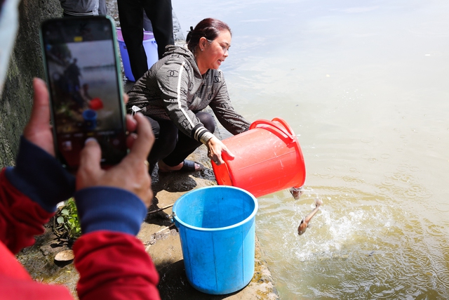 Hàng trăm người dân TP.HCM đến chùa thả cá phóng sinh ngày Vu Lan báo hiếu - Ảnh 10.