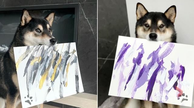 Tập vẽ và tô màu chú chó shiba  Shiba Puppy painting tutorial  YouTube