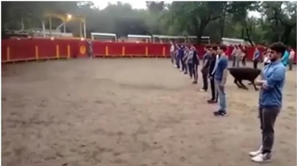 Thầy giáo ở Mexico gây tranh cãi khi bắt sinh viên xếp thành 3 hàng ngay trước mặt bò tót - Ảnh 2.