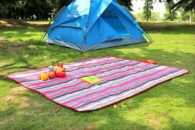 Going on a picnic is indispensable for these 5 convenient items, the most favorite is the super cheap price of only tens of thousands of dollars, which can be purchased - Photo 2.
