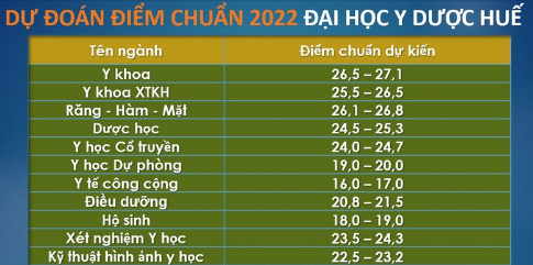 Dự đoán điểm chuẩn 2022: Khối ngành Y dược giảm nhẹ, ngành hot khối kinh tế có thể tăng 1 điểm - Ảnh 3.