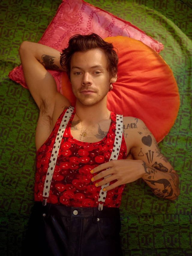 Harry Styles không muốn bàn về giới tính và chuyện hẹn hò - Ảnh 2.