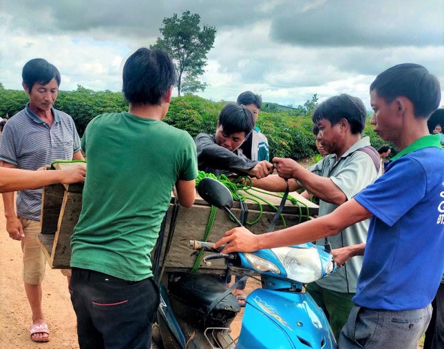 Sự thật vụ đưa quan tài lên rừng vì nhà nghèo không có đất chôn - Ảnh 1.