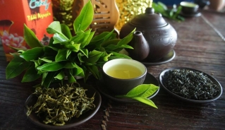 Th&uacute;c đẩy du lịch với Festival Tr&agrave; Th&aacute;i Nguy&ecirc;n - Ảnh 3.