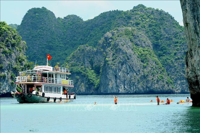 Cat Ba pearl island - an attractive tourist attraction of Hai Phong - Photo 6.