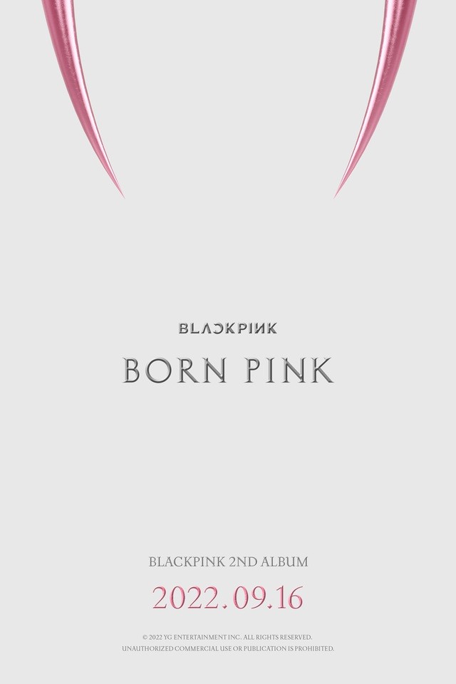 Pink Venom thành tích khủng quá rồi, ca khúc chủ đề tháng 9 của BLACKPINK phải làm sao? - Ảnh 9.