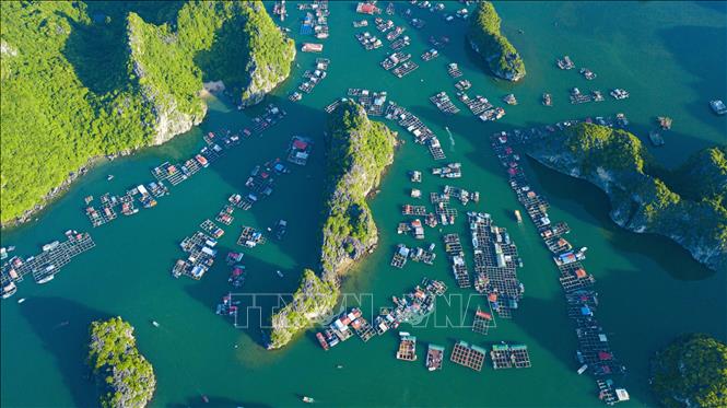 Cat Ba pearl island - an attractive tourist attraction of Hai Phong - Photo 10. Cat Ba pearl island - an attractive tourist attraction of Hai Phong - Photo 10.