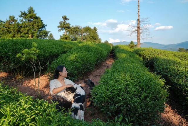 Ngôi nhà trên núi được cải tạo từ đồ bỏ đi của cô gái thích sống đời bình yên - Ảnh 1.