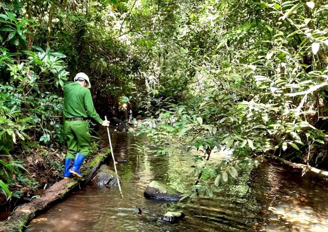 Lạnh người nghe kể về khu rừng nơi phát hiện 2 bộ xương người trên võng - Ảnh 2.