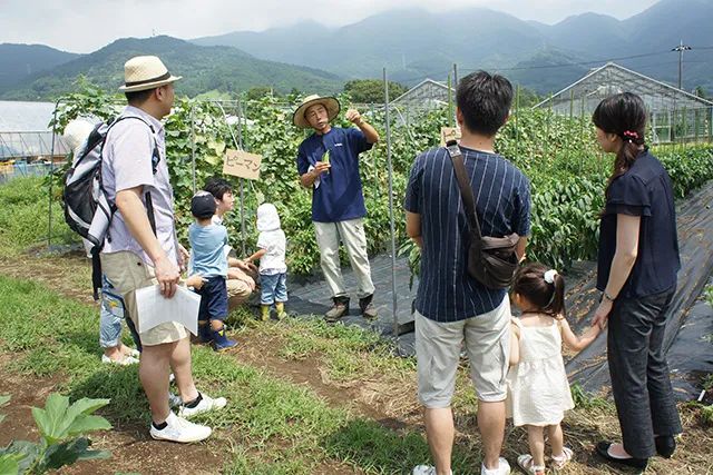 Thú vui điền viên của dân thành thị Nhật Bản: Thuê đất trồng rau, nghỉ việc về làm nông dân tại thành phố tấc đất tấc vàng - Ảnh 11.