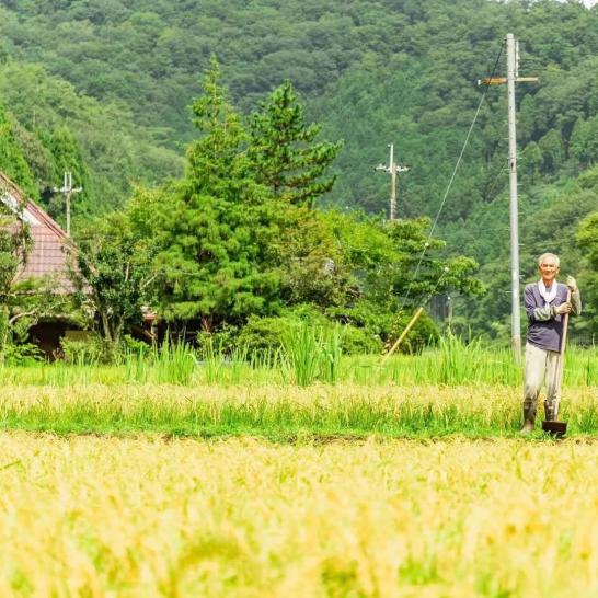 Thú vui điền viên của dân thành thị Nhật Bản: Thuê đất trồng rau, nghỉ việc về làm nông dân tại thành phố tấc đất tấc vàng - Ảnh 15.