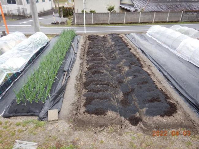 Thú vui điền viên của dân thành thị Nhật Bản: Thuê đất trồng rau, nghỉ việc về làm nông dân tại thành phố tấc đất tấc vàng - Ảnh 16.