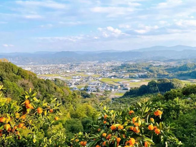 Thú vui điền viên của dân thành thị Nhật Bản: Thuê đất trồng rau, nghỉ việc về làm nông dân tại thành phố tấc đất tấc vàng - Ảnh 19.