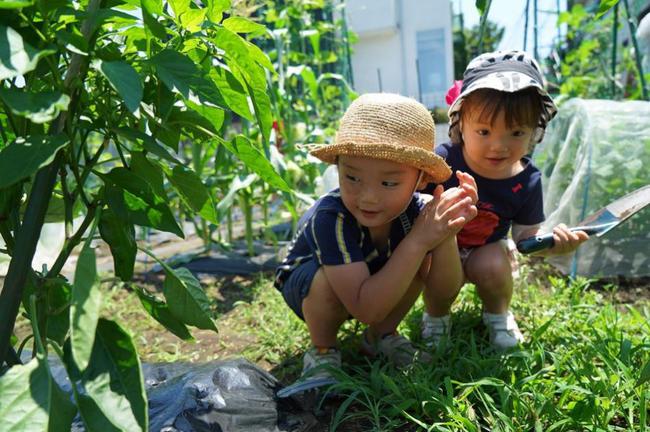 Thú vui điền viên của dân thành thị Nhật Bản: Thuê đất trồng rau, nghỉ việc về làm nông dân tại thành phố tấc đất tấc vàng - Ảnh 9.