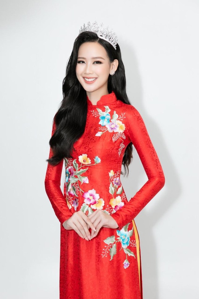 Nhan sắc nữ sinh viên cao 1m85 đại diện Việt Nam tại Miss Intercontinental - Ảnh 3.