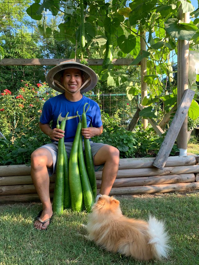 Chàng trai Việt trồng hơn 500 giống ớt, khu vườn 300 m2 ngập rau trái quê - Ảnh 4.