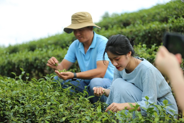 Phát triển du lịch nông thôn gắn với phát huy tiềm năng, lợi thế về nông nghiệp, làng nghề - Ảnh 1.