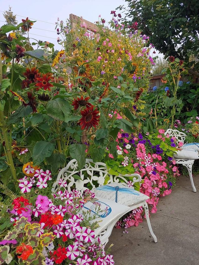 Khu vườn thơ mộng của người mẹ c&ugrave;ng c&ocirc; con g&aacute;i nhỏ xinh đẹp  - Ảnh 8.