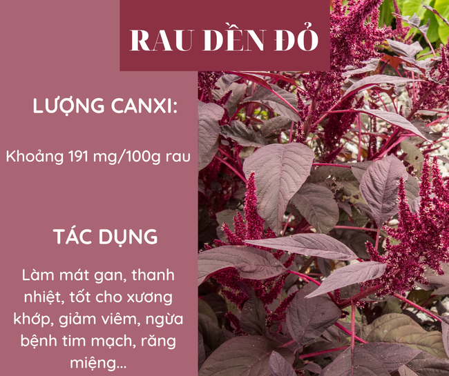 5 loại rau giàu canxi hơn sữa, bổ sung hàng ngày để phòng ngừa loãng xương - Ảnh 2.