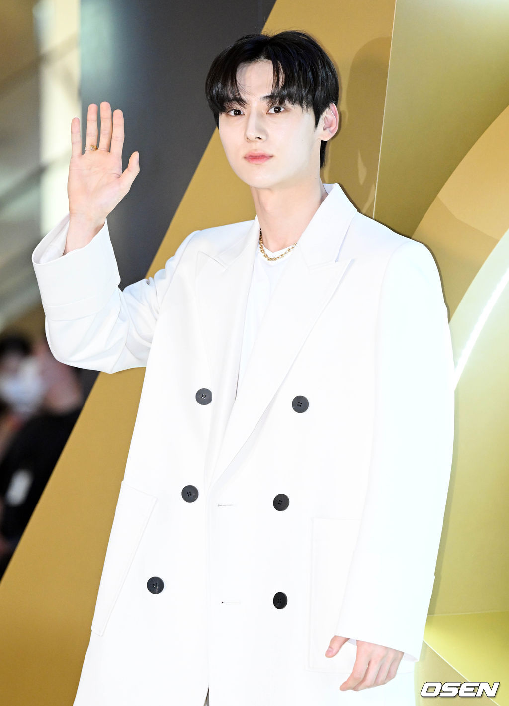 2 nữ thần Yoona và Hani đẹp đến mức đại náo siêu sự kiện, tài tử Lee Jin Wook và WINNER nổi bật giữa quân đoàn sao hạng A - Ảnh 10. 2 nữ thần Yoona và Hani đẹp đến mức đại náo siêu sự kiện, tài tử Lee Jin Wook và WINNER nổi bật giữa quân đoàn sao hạng A - Ảnh 10.
