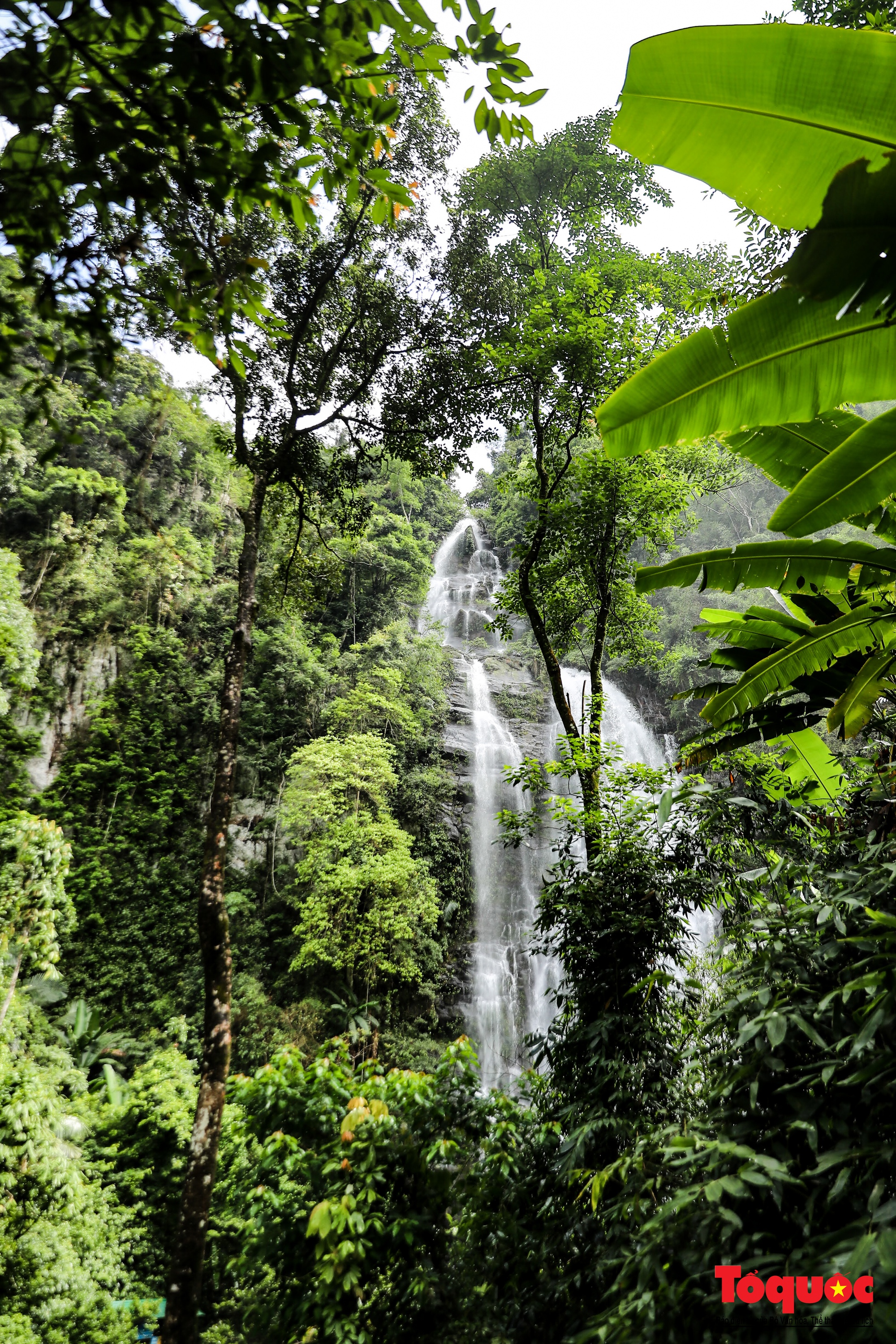 Thác Khe Kèm, dải lụa trắng giữa đại ngàn xứ Nghệ - Ảnh 9. Thác Khe Kèm, dải lụa trắng giữa đại ngàn xứ Nghệ - Ảnh 9.