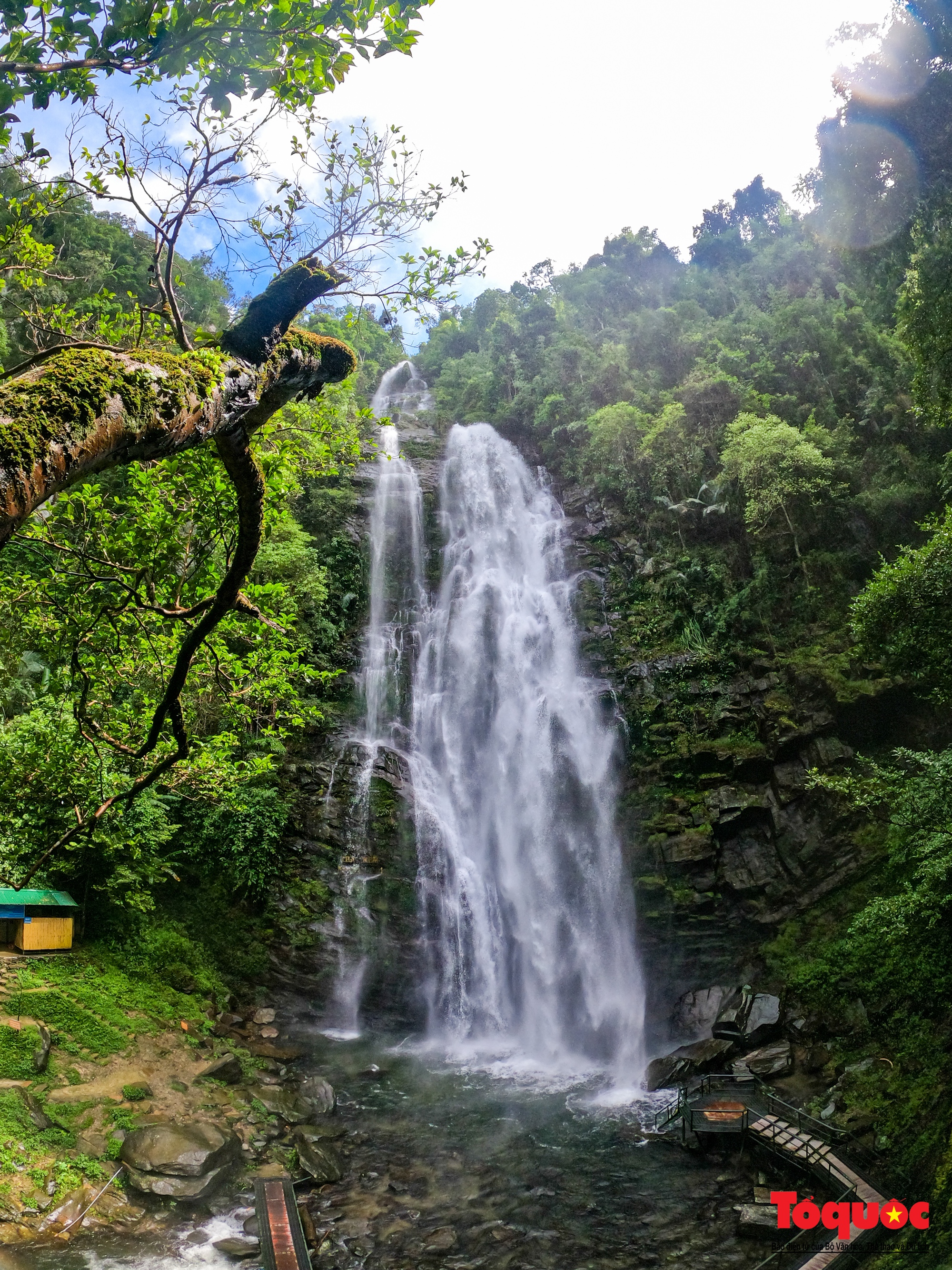 Thác Khe Kèm, dải lụa trắng giữa đại ngàn xứ Nghệ - Ảnh 15. Thác Khe Kèm, dải lụa trắng giữa đại ngàn xứ Nghệ - Ảnh 15.