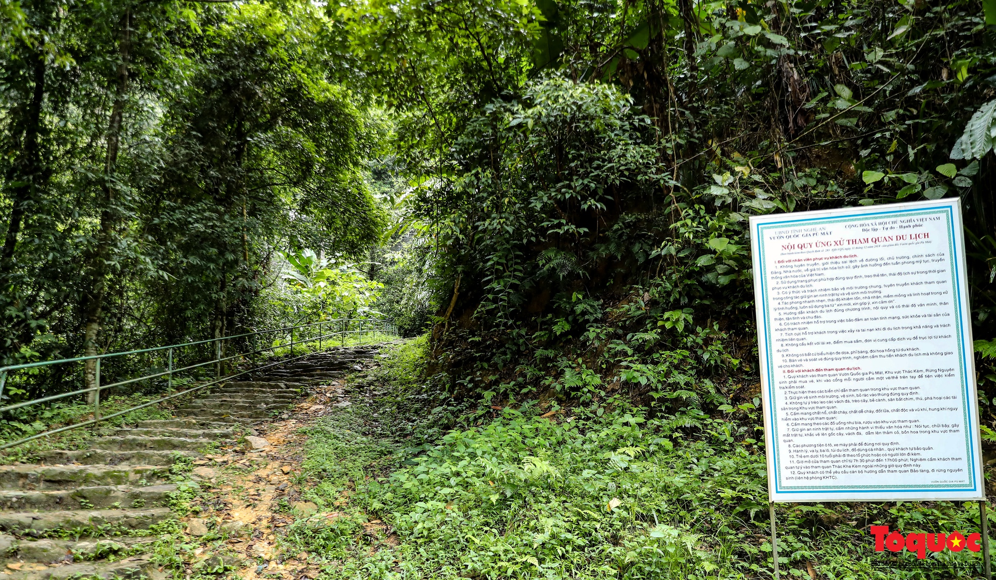 Thác Khe Kèm, dải lụa trắng giữa đại ngàn xứ Nghệ - Ảnh 5. Thác Khe Kèm, dải lụa trắng giữa đại ngàn xứ Nghệ - Ảnh 5.