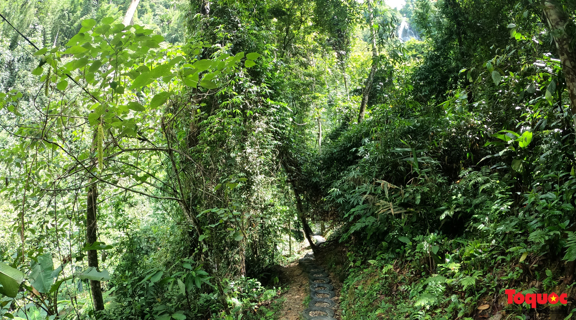 Thác Khe Kèm, dải lụa trắng giữa đại ngàn xứ Nghệ - Ảnh 6. Thác Khe Kèm, dải lụa trắng giữa đại ngàn xứ Nghệ - Ảnh 6.