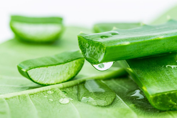 3 công thức làm mặt nạ giúp se khít lỗ chân lông tại nhà - Ảnh 2.