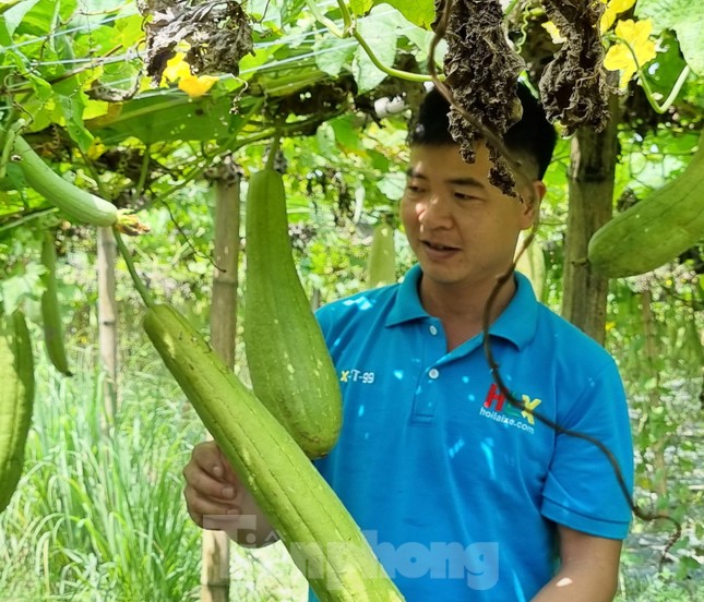 Nghỉ việc ngân hàng lương cao, chàng trai Bắc Ninh biến xơ mướp thành sản phẩm xuất khẩu nghìn đô - Ảnh 2.