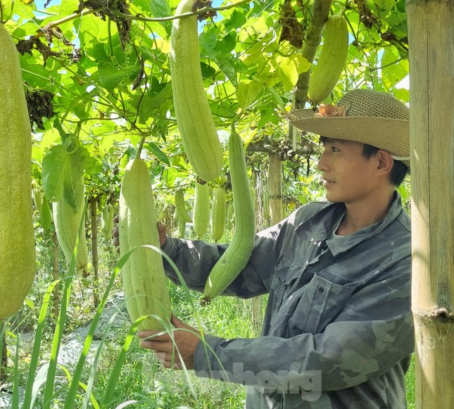 Nghỉ việc ngân hàng lương cao, chàng trai Bắc Ninh biến xơ mướp thành sản phẩm xuất khẩu nghìn đô - Ảnh 3.