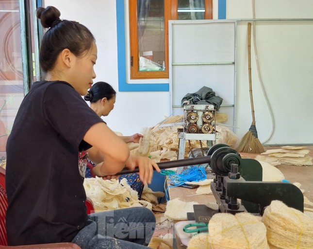 Nghỉ việc ngân hàng lương cao, chàng trai Bắc Ninh biến xơ mướp thành sản phẩm xuất khẩu nghìn đô - Ảnh 8.